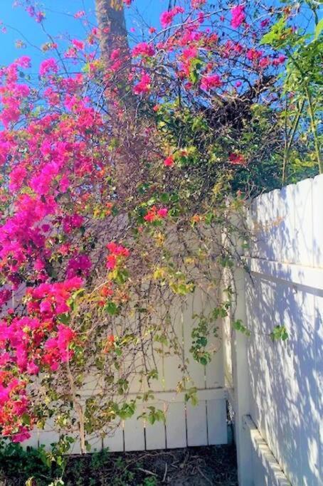 Bright And Beachy 2Bed 1Bath Home - Unit 210 Cocoa Beach Eksteriør bilde